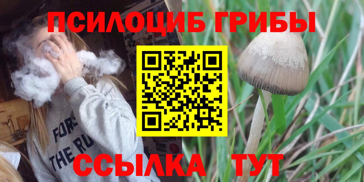 Пенза  Галлюциногенные грибы GOLDEN TEACHER  Вход с VPN 