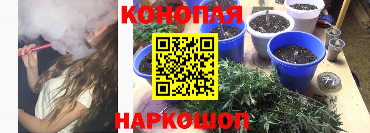 Бошки марихуана марихуана Пенза